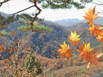 黄山房车露营地价格（黄山房车露营地价格多少）